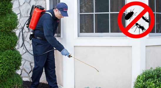Gümüşhane Akrep İlaçlama böcek ilaçlama ve haşere kontrolü — ilaclama-tr.com